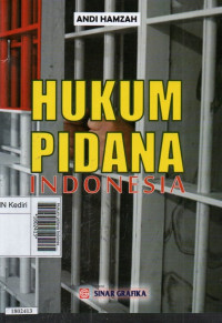 Image of Hukum pidana Indonesia