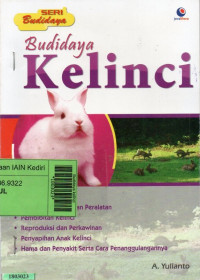 Image of Budidaya kelinci