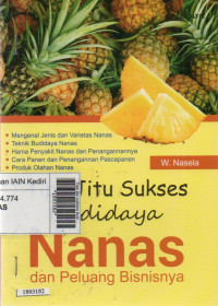 Image of Tips jitu sukses budidaya nanas dan peluang bisnisnya