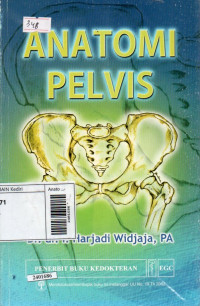 Image of Anatomi pelvis
