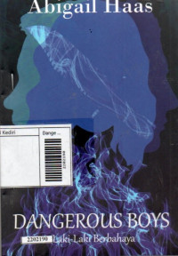 Image of Dangerous boys = Laki-laki berbahaya