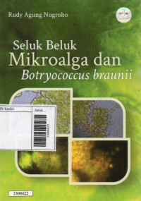 Image of Seluk beluk mikroalga dan botryococcus braunii